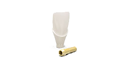 Atlantis Crown Abutment