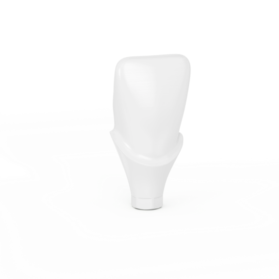 Atlantis Crown Abutment