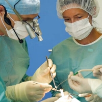 Dr. Lamotte